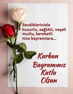 Cem Sev