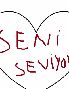 engin kaya